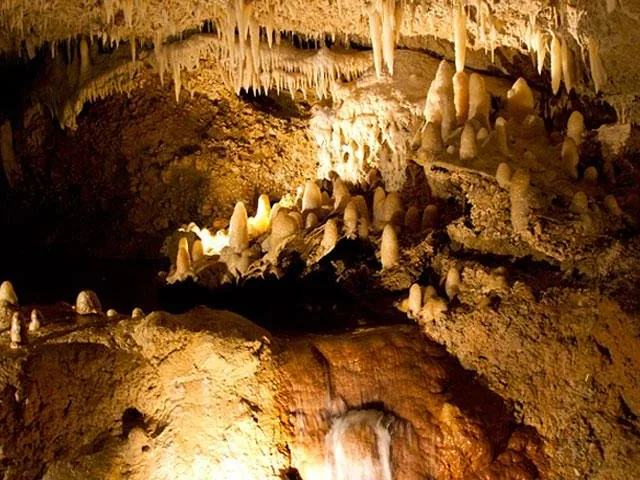 Primo piano di stalagmiti e stalattiti illuminate all'interno di Harrison's Cave.