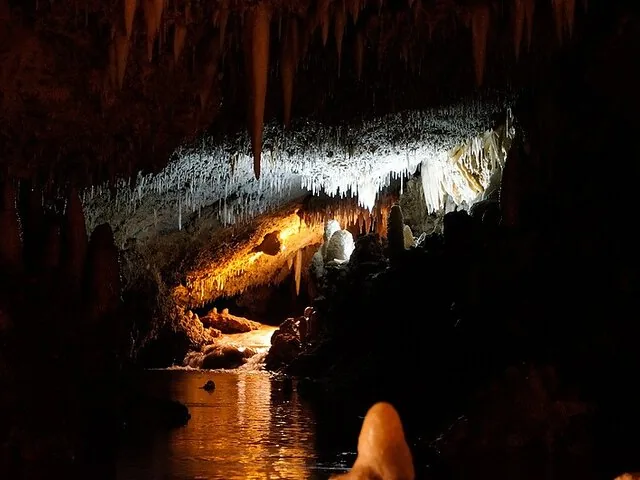 Stalattiti e formazioni rocciose illuminate all'interno della buia Harrison's Cave.