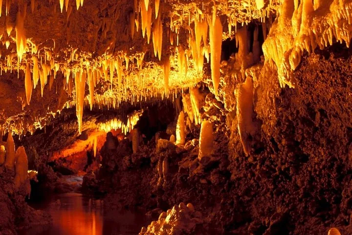 Golden beleuchtete Stalaktiten an der Decke in Harrison's Cave.